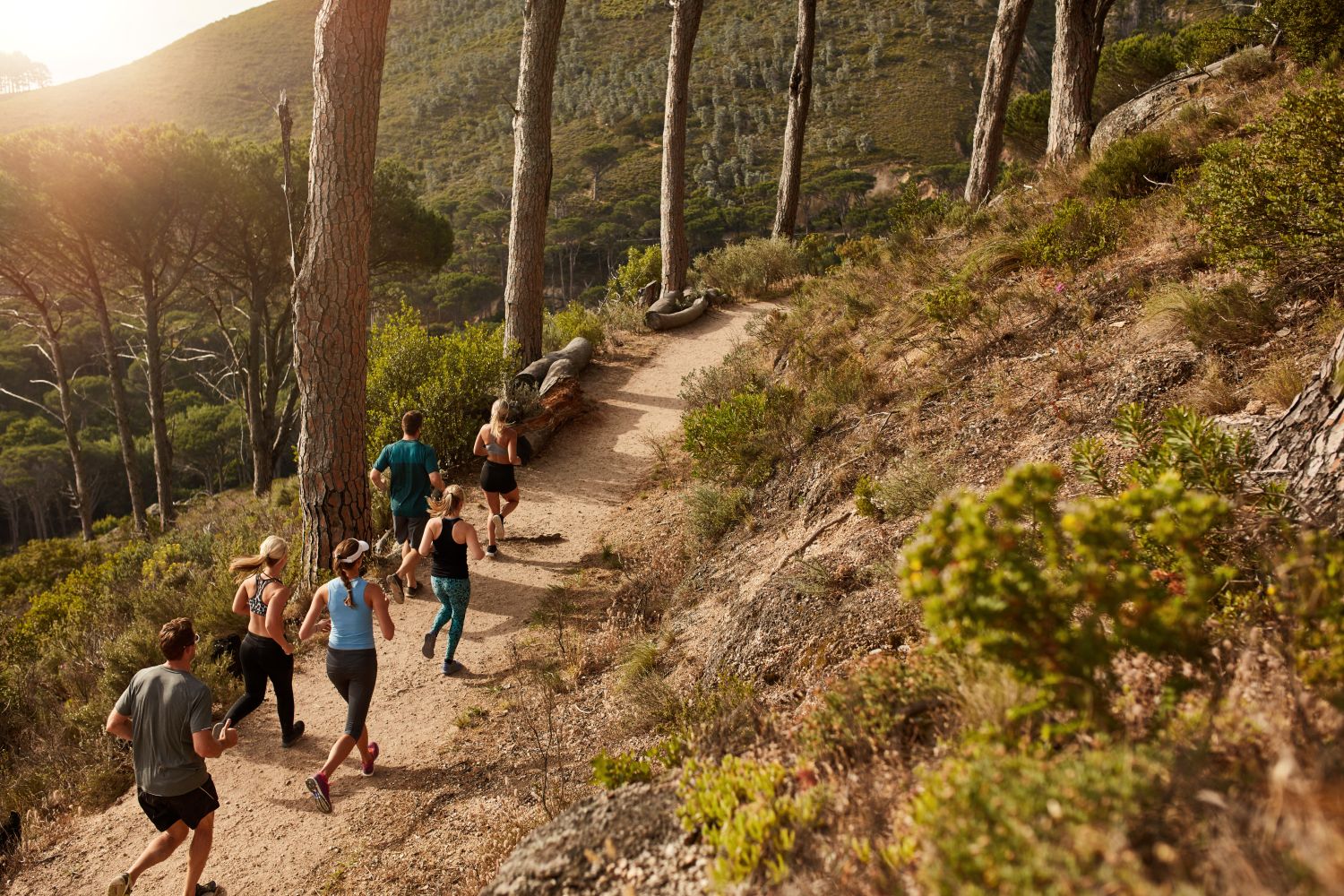 Hiking Trails1