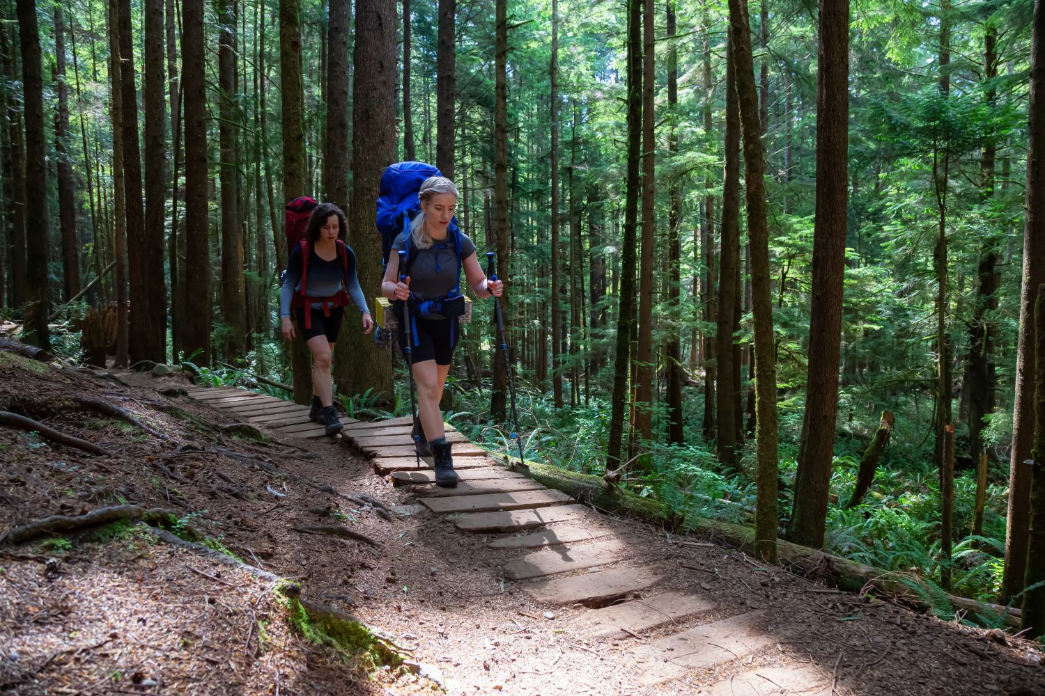 Hiking Trails2