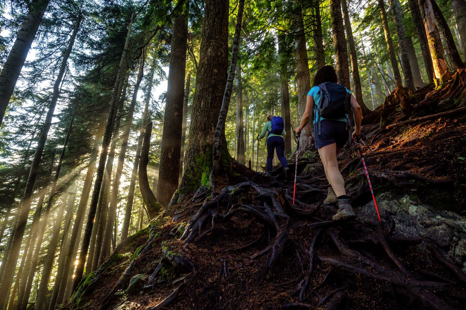 Hiking Trails3