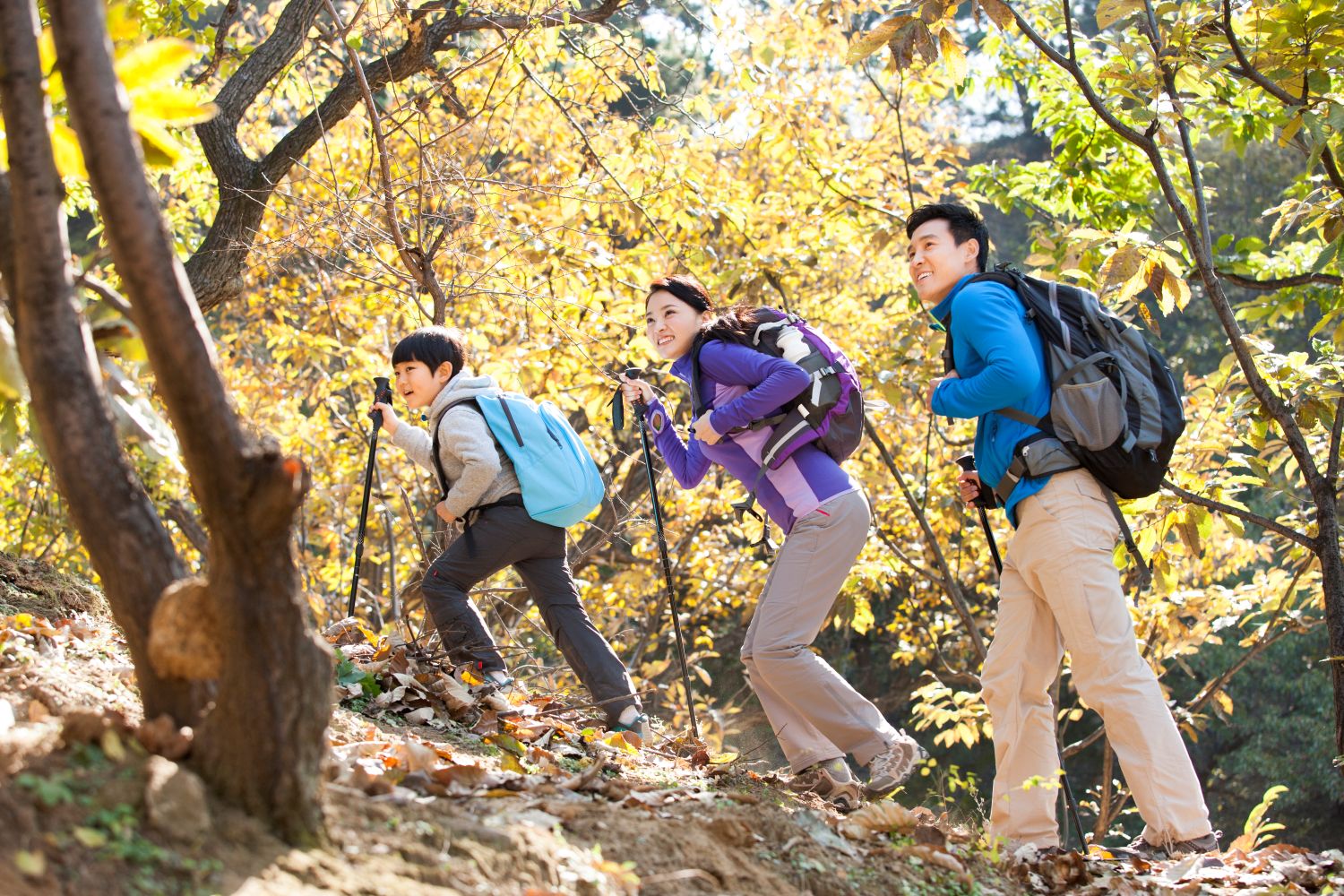 Hiking Trails4