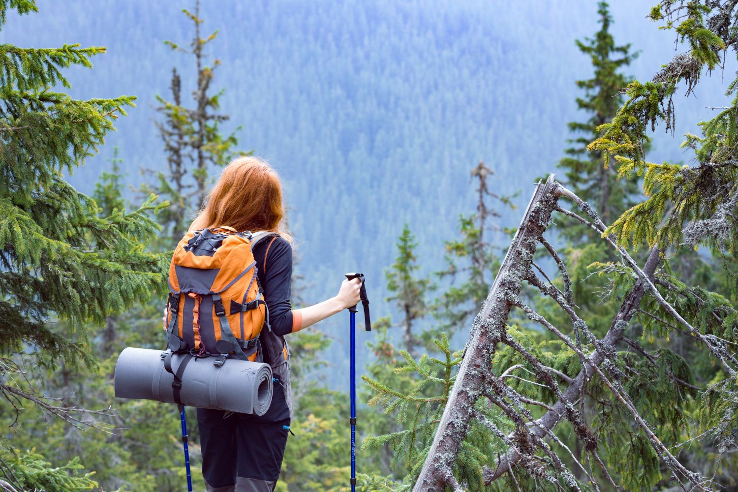 Solo Hiking
