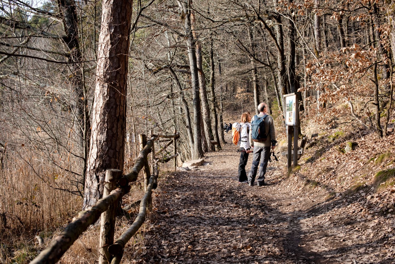 Trail Type